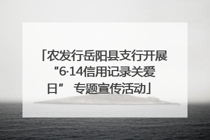 农发行岳阳县支行开展“6·14信用记录关爱日” 专题宣传活动