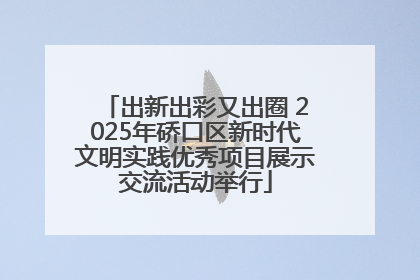 出新出彩又出圈 2025年硚口区新时代文明实践优秀项目展示交流活动举行