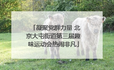 凝聚党群力量 北京大屯街道第三届趣味运动会热闹非凡