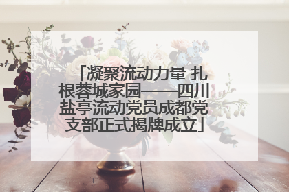 凝聚流动力量 扎根蓉城家园——四川盐亭流动党员成都党支部正式揭牌成立