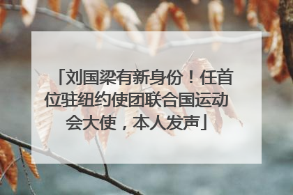 刘国梁有新身份！任首位驻纽约使团联合国运动会大使，本人发声