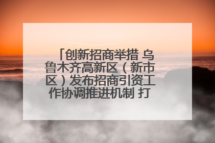 创新招商举措 乌鲁木齐高新区（新市区）发布招商引资工作协调推进机制 打造投资发展新高地
