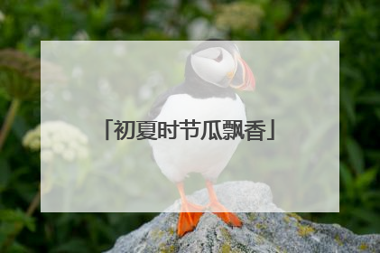 初夏时节瓜飘香