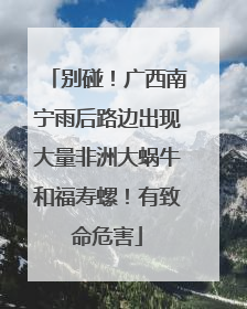 别碰！广西南宁雨后路边出现大量非洲大蜗牛和福寿螺！有致命危害