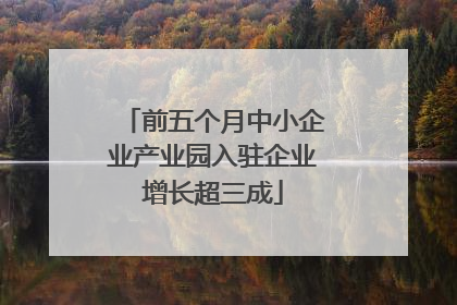 前五个月中小企业产业园入驻企业增长超三成