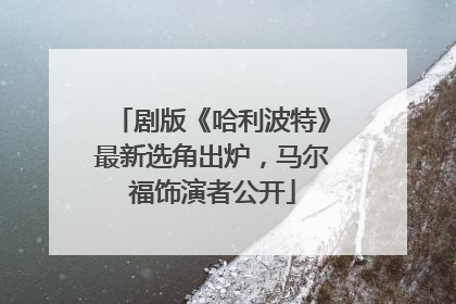 剧版《哈利波特》最新选角出炉，马尔福饰演者公开