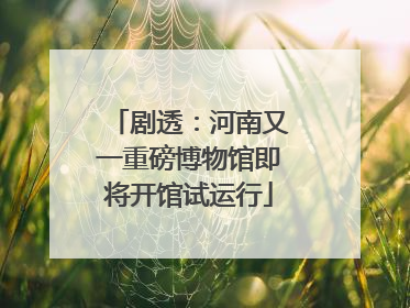 剧透：河南又一重磅博物馆即将开馆试运行