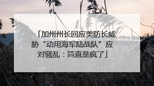 加州州长回应美防长威胁“动用海军陆战队”应对骚乱：简直是疯了