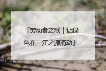 劳动者之歌｜让绿色在三江之源涌动