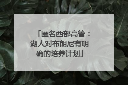 匿名西部高管：湖人对布朗尼有明确的培养计划