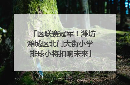 区联赛冠军！潍坊潍城区北门大街小学排球小将扣响未来