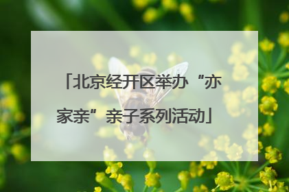 北京经开区举办“亦家亲”亲子系列活动