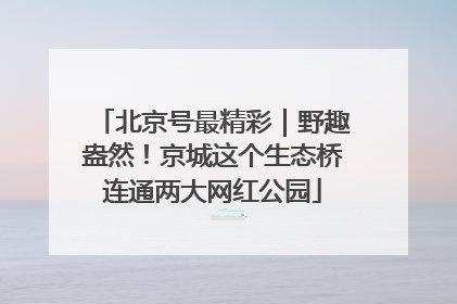 北京号最精彩｜野趣盎然！京城这个生态桥连通两大网红公园