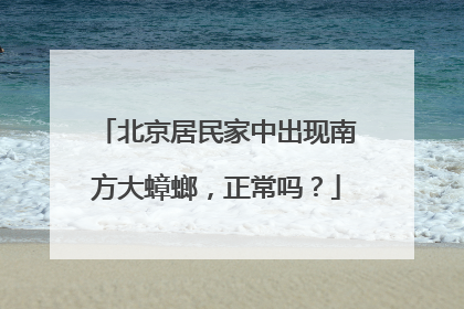 北京居民家中出现南方大蟑螂，正常吗？