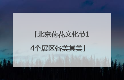 北京荷花文化节14个展区各美其美