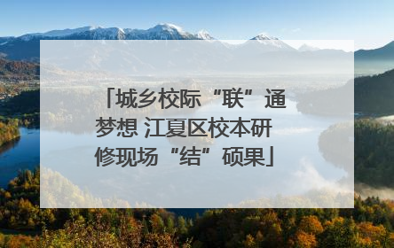 城乡校际“联”通梦想 江夏区校本研修现场“结”硕果