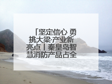 坚定信心 勇挑大梁·产业新亮点丨秦皇岛智慧消防产品占全国市场超四成