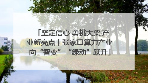 坚定信心 勇挑大梁·产业新亮点丨张家口算力产业向“智变”“绿动”跃升
