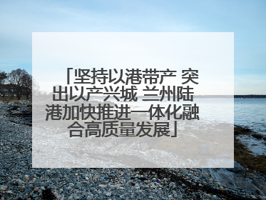 坚持以港带产 突出以产兴城 兰州陆港加快推进一体化融合高质量发展