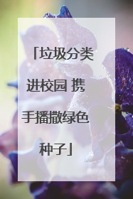 垃圾分类进校园 携手播撒绿色种子