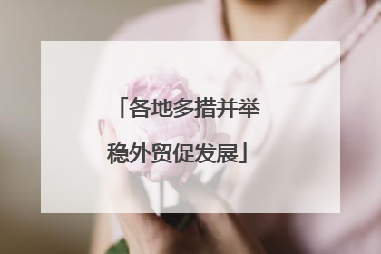 各地多措并举稳外贸促发展