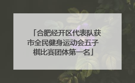 合肥经开区代表队获市全民健身运动会五子棋比赛团体第一名