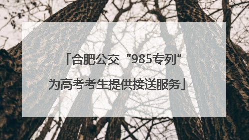 合肥公交“985专列”为高考考生提供接送服务
