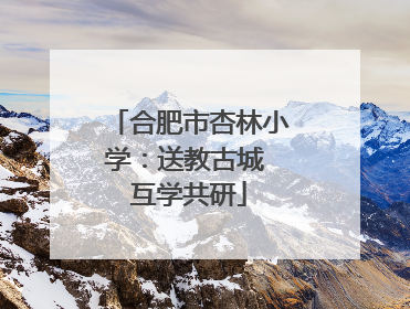 合肥市杏林小学：送教古城 互学共研