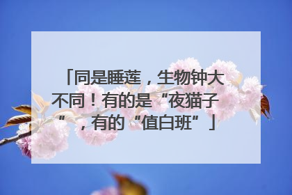 同是睡莲，生物钟大不同！有的是“夜猫子”，有的“值白班”
