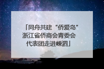 同舟共建“侨爱岛” 浙江省侨商会青委会代表团走进嵊泗