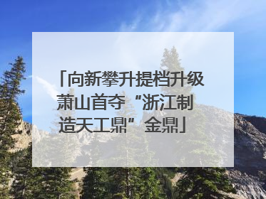 向新攀升提档升级 萧山首夺“浙江制造天工鼎”金鼎