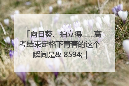 向日葵、拍立得……高考结束定格下青春的这个瞬间是& 8594;｜2025四川高考