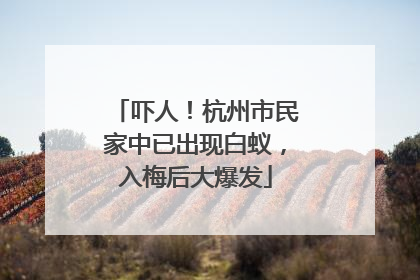 吓人！杭州市民家中已出现白蚁，入梅后大爆发
