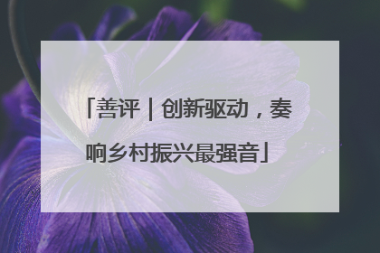 善评｜创新驱动，奏响乡村振兴最强音