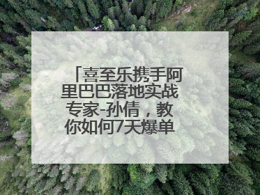 喜至乐携手阿里巴巴落地实战专家-孙倩，教你如何7天爆单逆袭跨境电商
