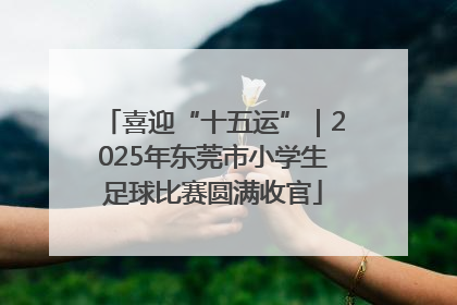 喜迎“十五运”｜2025年东莞市小学生足球比赛圆满收官