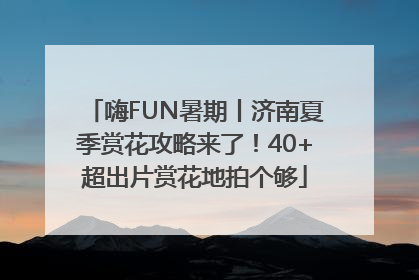 嗨FUN暑期丨济南夏季赏花攻略来了！40+超出片赏花地拍个够