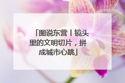 图说东营丨镜头里的文明切片，拼成城市心跳