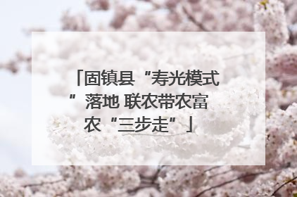 固镇县“寿光模式”落地 联农带农富农“三步走”