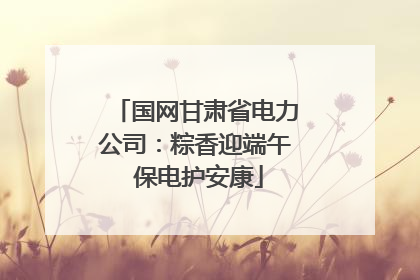国网甘肃省电力公司：粽香迎端午 保电护安康