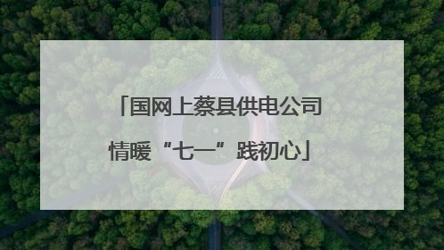 国网上蔡县供电公司情暖“七一”践初心