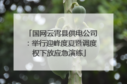 国网云霄县供电公司：举行迎峰度夏暨调度权下放应急演练