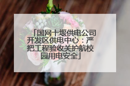 国网十堰供电公司开发区供电中心：严把工程验收关护航校园用电安全