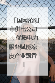国网沁阳市供电公司：优质电力服务赋能凉皮产业飘香
