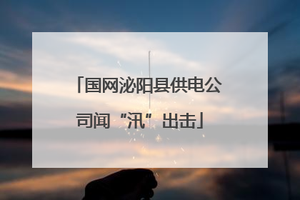 国网泌阳县供电公司闻“汛”出击