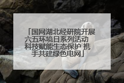 国网湖北经研院开展六五环境日系列活动 科技赋能生态保护 携手共建绿色电网