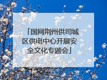 国网荆州供司城区供电中心开展安全文化专题会