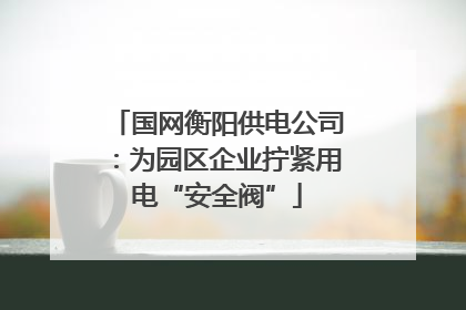 国网衡阳供电公司：为园区企业拧紧用电“安全阀”