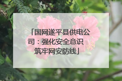 国网遂平县供电公司：强化安全意识 筑牢网安防线