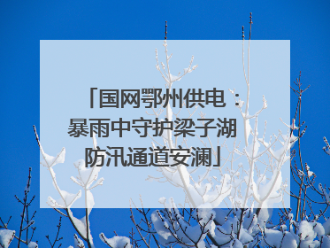 国网鄂州供电：暴雨中守护梁子湖防汛通道安澜